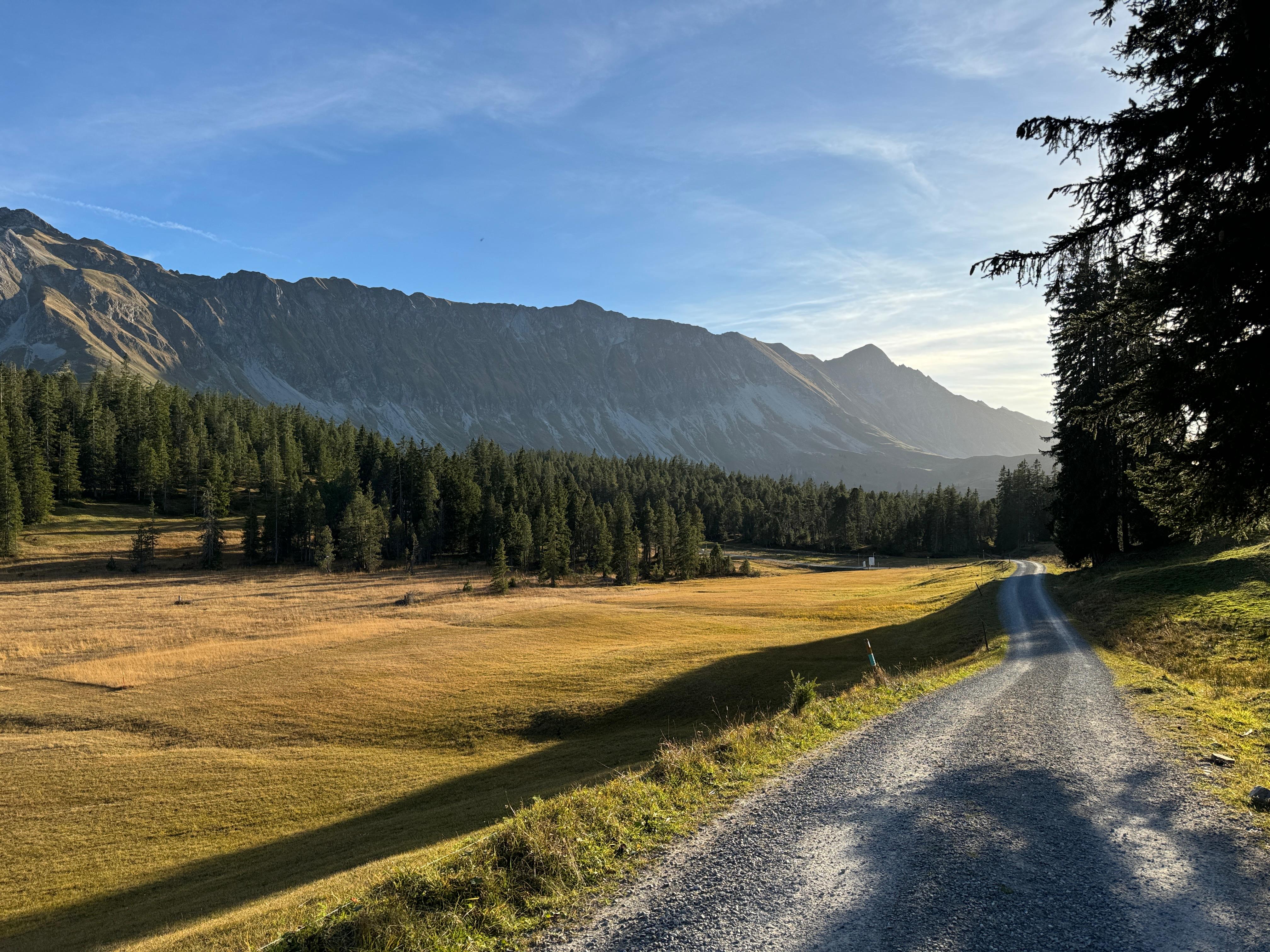 Lis Abbühl Coaching