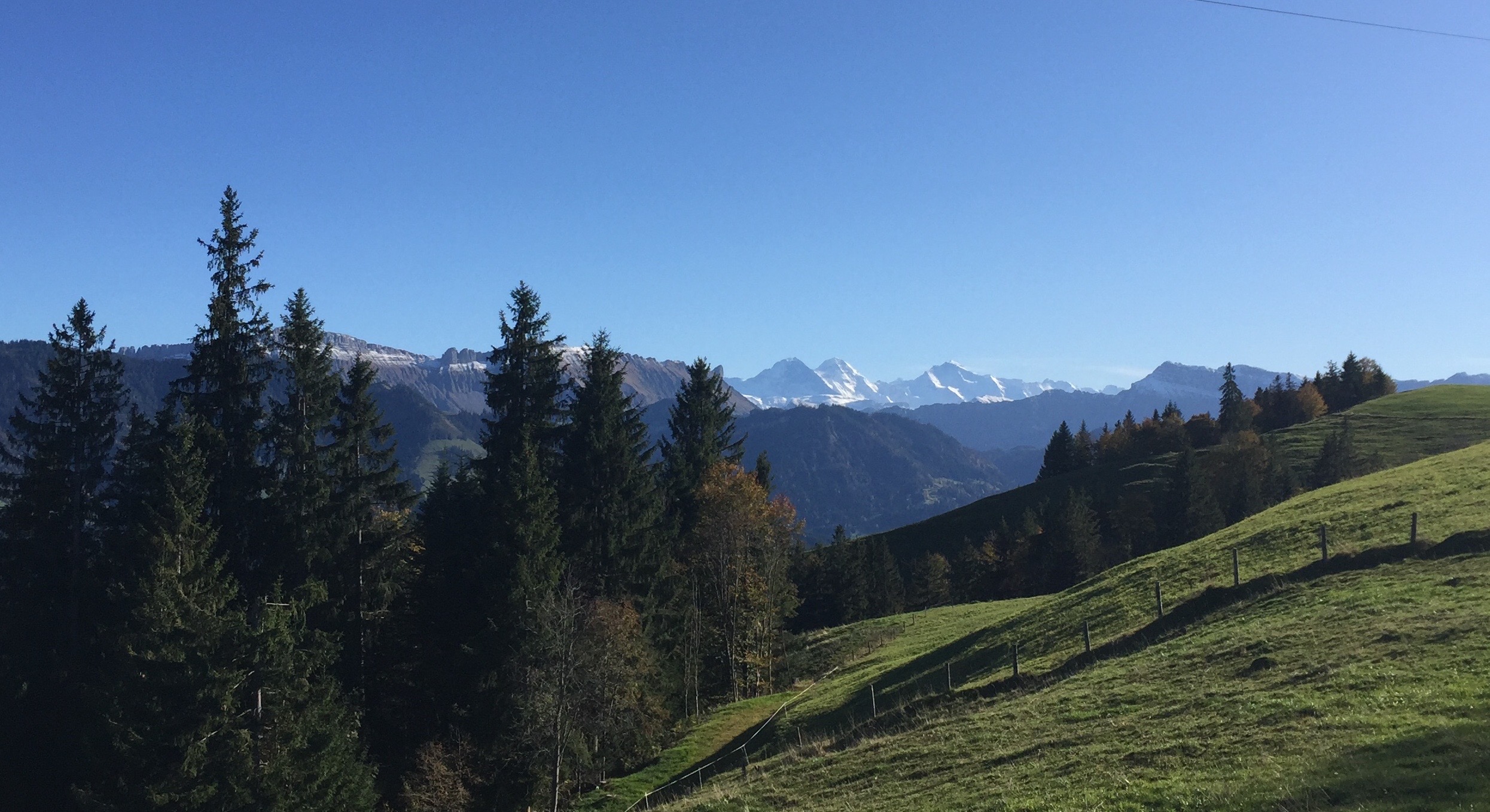 Lis Abbühl Coaching